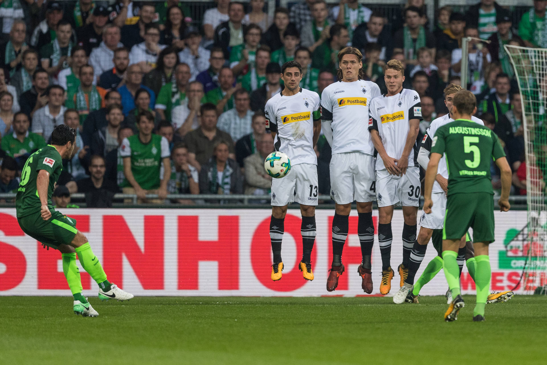 2023年迎接新生 共创未来